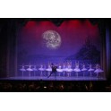 "Schwanensee"   Internationales Festival Ballet & Orchester  31.12.26 um 17:00 Uhr