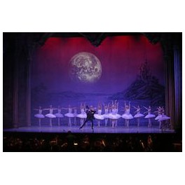 "Schwanensee"   Internationales Festival Ballet & Orchester  31.12.26 um 17:00 Uhr